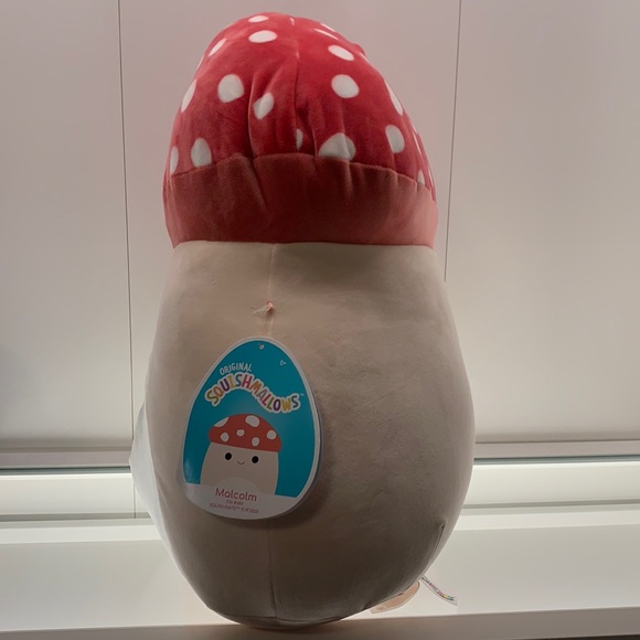 Squishmallows Toys Malcolm The Mushroom Squishmallow Poshmark